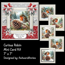 Curious Robin