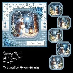 Snowy Night