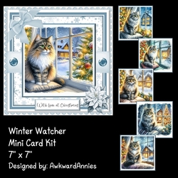 Winter Watcher