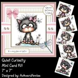 Quiet Curiosity