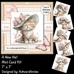 A New Hat