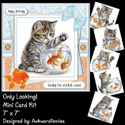 Only Looking