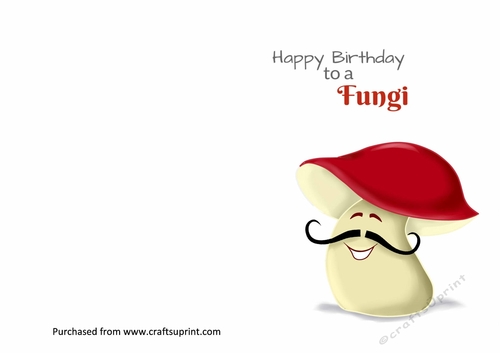 Happy Birthday to a Fungi