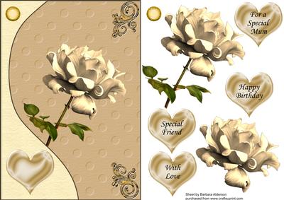 Beautiful Painted Cream Rose