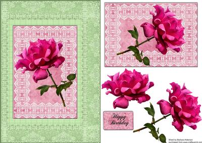Pink Rose on Lace