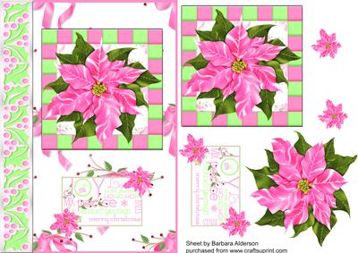 Poinsettia in Pink