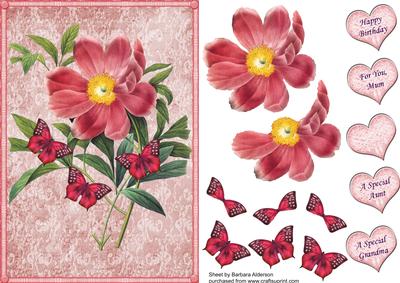 Peony Rose with Butterflies