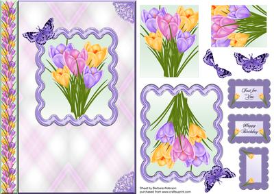Crocus Spring Flowers with a Butterfly