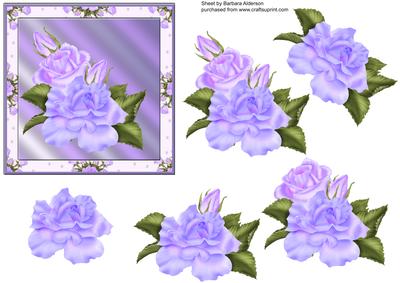 Blue Roses