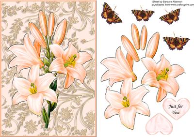Peach Lily Card Fromt