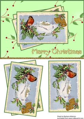 Snowy Robin Scene