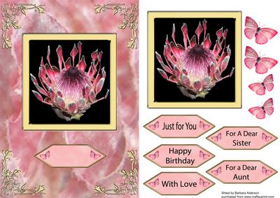 A Birthday Flower for Aunt/sister Perhaps