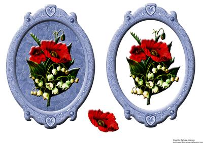 Poppy on a Frame
