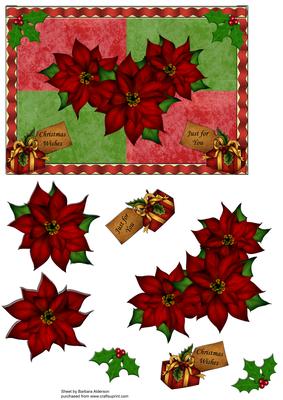 A Trio of Poinsettia