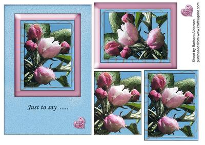 Blossom Buds