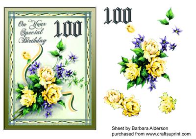 Special Birthday 100