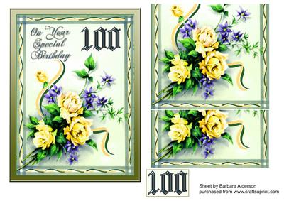 Special Birthday 100(p)
