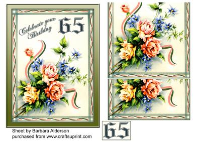 Special Birthday Age 65(p)