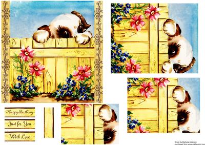 Over the Fence, Puppy