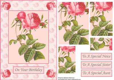 A Pink Rose or Two