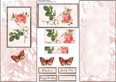 All in One Dl Redoute Rose and Butterfly