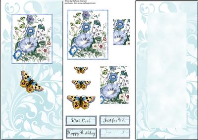 All in One Dl Blue Floral with Butterfly