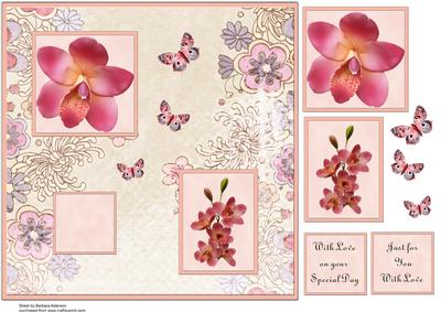 Orchids and Butterflies