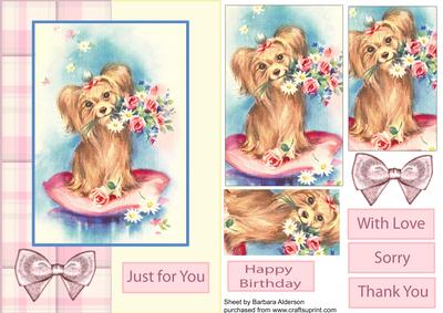 Yorkie, Just for You