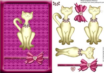 A Jewel of a Cat