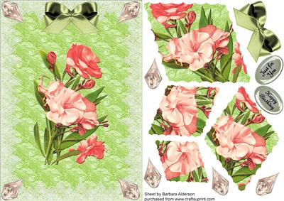 Pink Flowers on Green with Lace