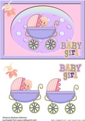 New Baby Girl in Frame