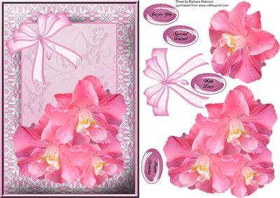 Lace Frame with Pink Flowers