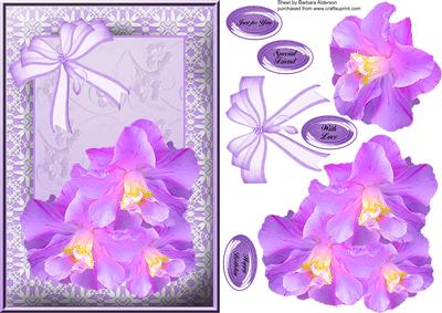 Lace Frame with Lilac Flowers