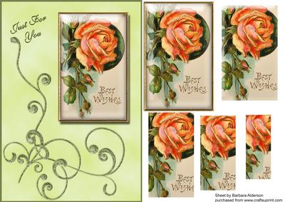 Peach Rose Framed and a Green Flourish