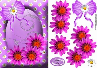 In the Pink Daisies