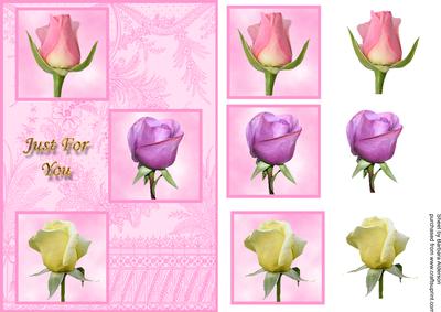 3 Rose Buds for You on Pink