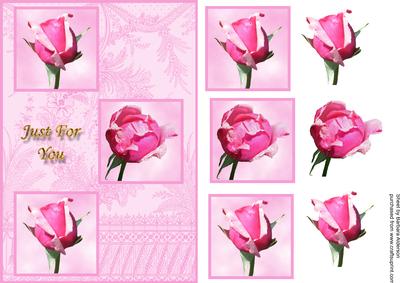 3 Pink Roses Just for You