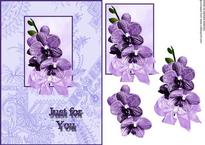 Purple Orchids for You