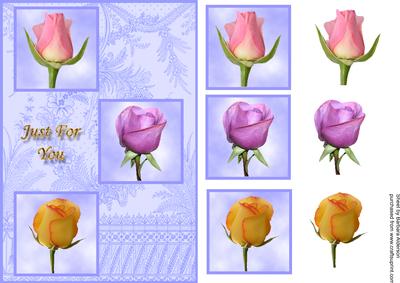3 Rose Buds for You on Blue