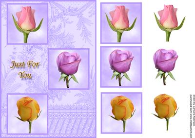 3 Rose Buds for You on Lilac