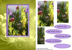 Gladioli Morning