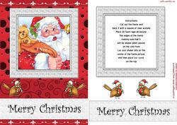 Santa Shaker Card with Robins