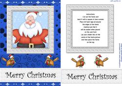 Jolly Santa Shaker Card