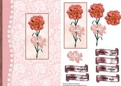 A Carnation for You