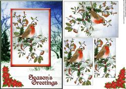Season's Greeting Robin