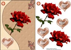 Beautiful Single Red Rose