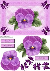 A Single Pansy in a Frame