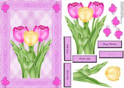 Three Framed Tulips Card Front