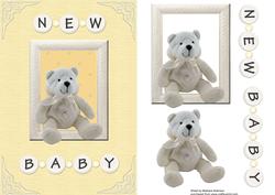 A Teddy for a New Baby