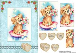 A Yorkie, with Love
